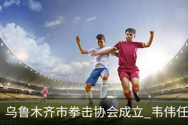 乌鲁木齐市拳击协会成立 韦伟任会长